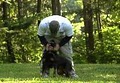 American K-9 Training Services image 1