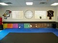 American Karate System image 6