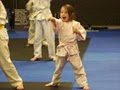 American Karate System image 7