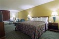 Americas Best Value Inn image 3