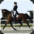 Annwyn Equestrian Center logo