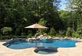 Aquascape Pool Design Inc image 4