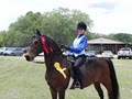 Arbordale Riding Academy logo