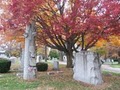 Arlington Cemetery Co image 2