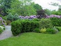 BC Landscaping image 4