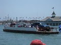 Balboa Island Ferry logo