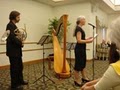 Barbara Fackler, Harpist image 2
