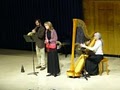 Barbara Fackler, Harpist image 3