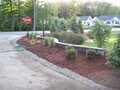 Benny's Landscaping image 8