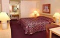 Best Western Airport Inn image 3