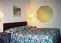 Best Western Plaza Hotel Saugatuck image 5