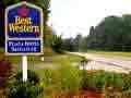 Best Western Plaza Hotel Saugatuck image 8