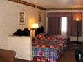 Best Western Shamrock Inn & Suites image 2