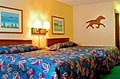 Best Western-Smokey Mountain image 10