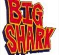 Big Shark Bicycle Company image 4