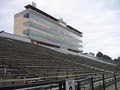 Bill Snyder Family Stadium logo