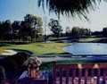 Birkdale Golf Club image 4