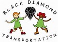 Black Diamond Transportation logo