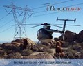 Blackhawk Helicopters logo