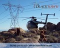 Blackhawk Helicopters image 1