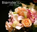 Bloomster's logo