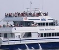 Boston Harbor Cruises - Whale Watching image 2