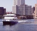 Boston Harbor Cruises - Whale Watching image 7