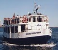 Boston Harbor Cruises - Whale Watching image 8