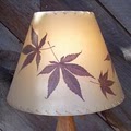 Botanical Lampshades image 6