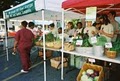 Bowdoin Geneva Farmers' Market image 4