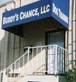 Buddy's Chance, LLC Austin Dog Training and Dog Daycare image 4