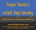 Buddy's Chance, LLC Austin Dog Training and Dog Daycare image 10