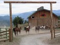 Bull Hill Guest Ranch image 2