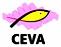 C.E.V.A    (Comunidad-Evangelica-Vida-Abundante) image 1