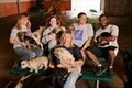Canine To Five image 10