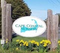 Cape Coastal Nursery logo