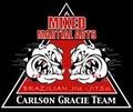 Carlson Gracie Team MMA - Schaumburg Training Classes Muay Thai Jiu Jitsu Boxing logo
