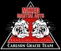 Carlson Gracie Team MMA - Schaumburg Training Classes Muay Thai Jiu Jitsu Boxing image 1