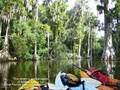 Central Florida Nature Adventures, LLC image 4