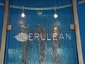 Cerulean Restaurant image 7