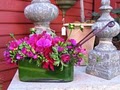 Che Bella - Premier Florist - Floral & Flower Arrangements in San Diego, CA image 4