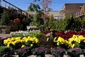 Chelsea Garden Center image 1