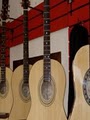 Clelia's Guitar Studio image 1