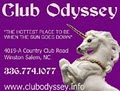 Club Odyssey logo