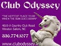 Club Odyssey image 1