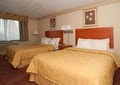 Comfort Inn Airport image 2