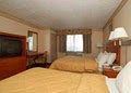 Comfort Inn Airport image 7