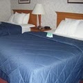 Comfort Inn Selinsgrove image 3