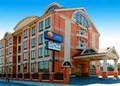 Comfort Inn & Suites Airport image 6