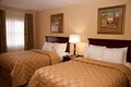 Comfort Inn University image 4